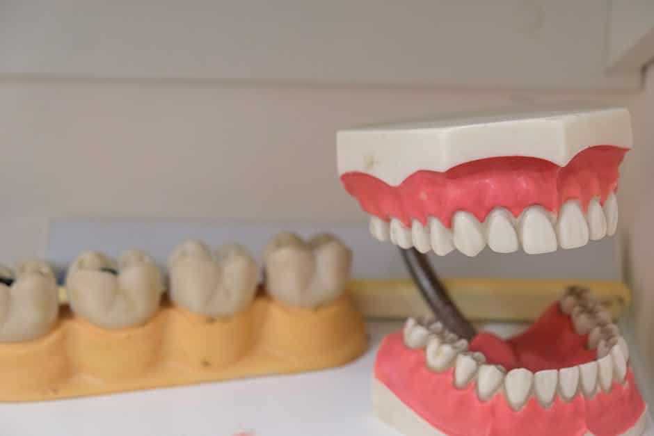 Beyond the Gap: Exploring Denture Solutions for Missing Teeth